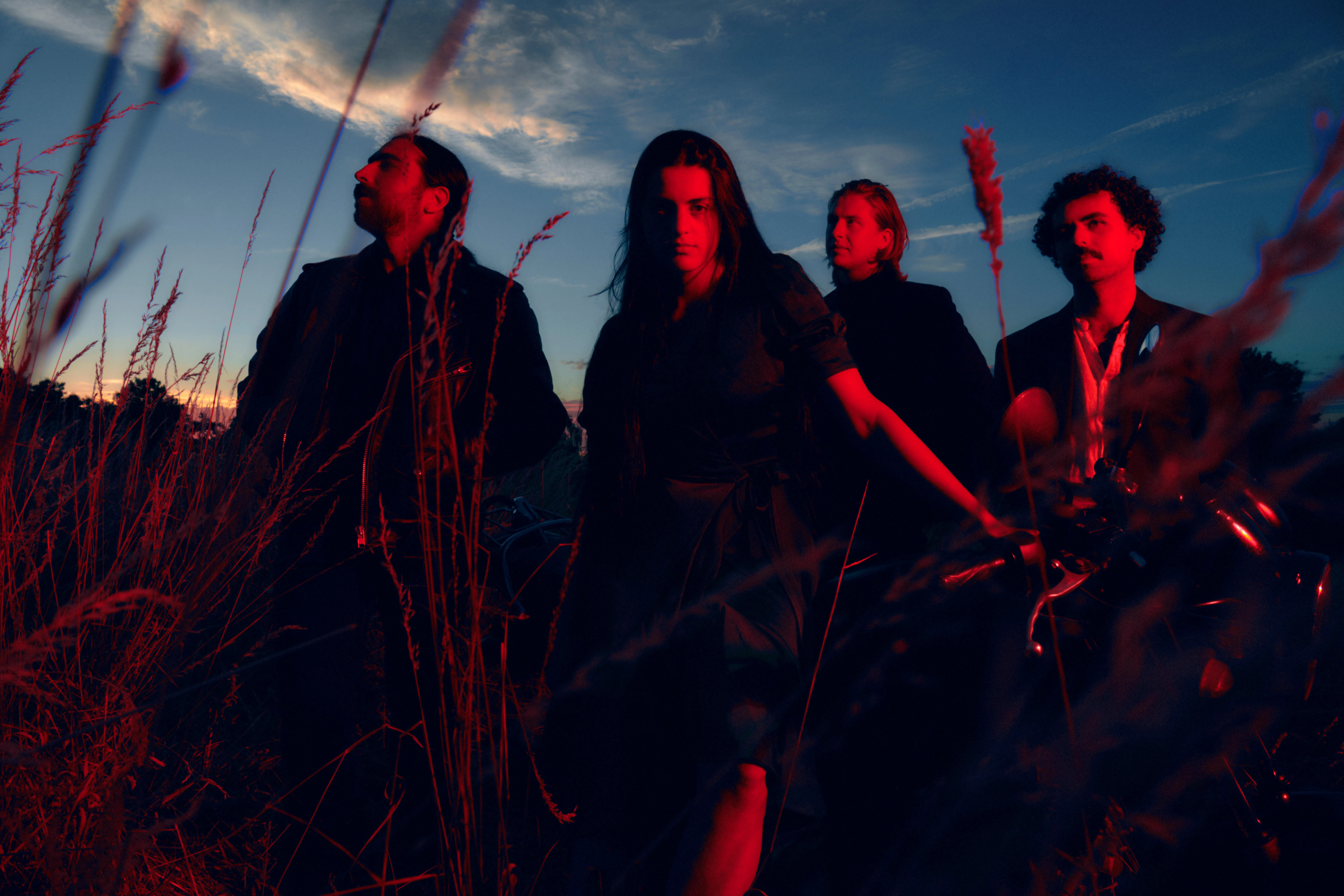 Modern Woman, four band members, among tall grasses at dusk