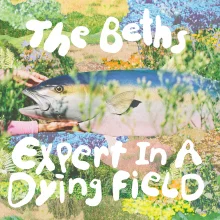 Cover of The Beths' Expert in a Dying Field