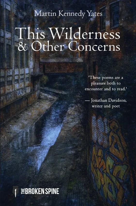 Cover of This Wilderness & Other Concerns by Martin Kennedy Yates